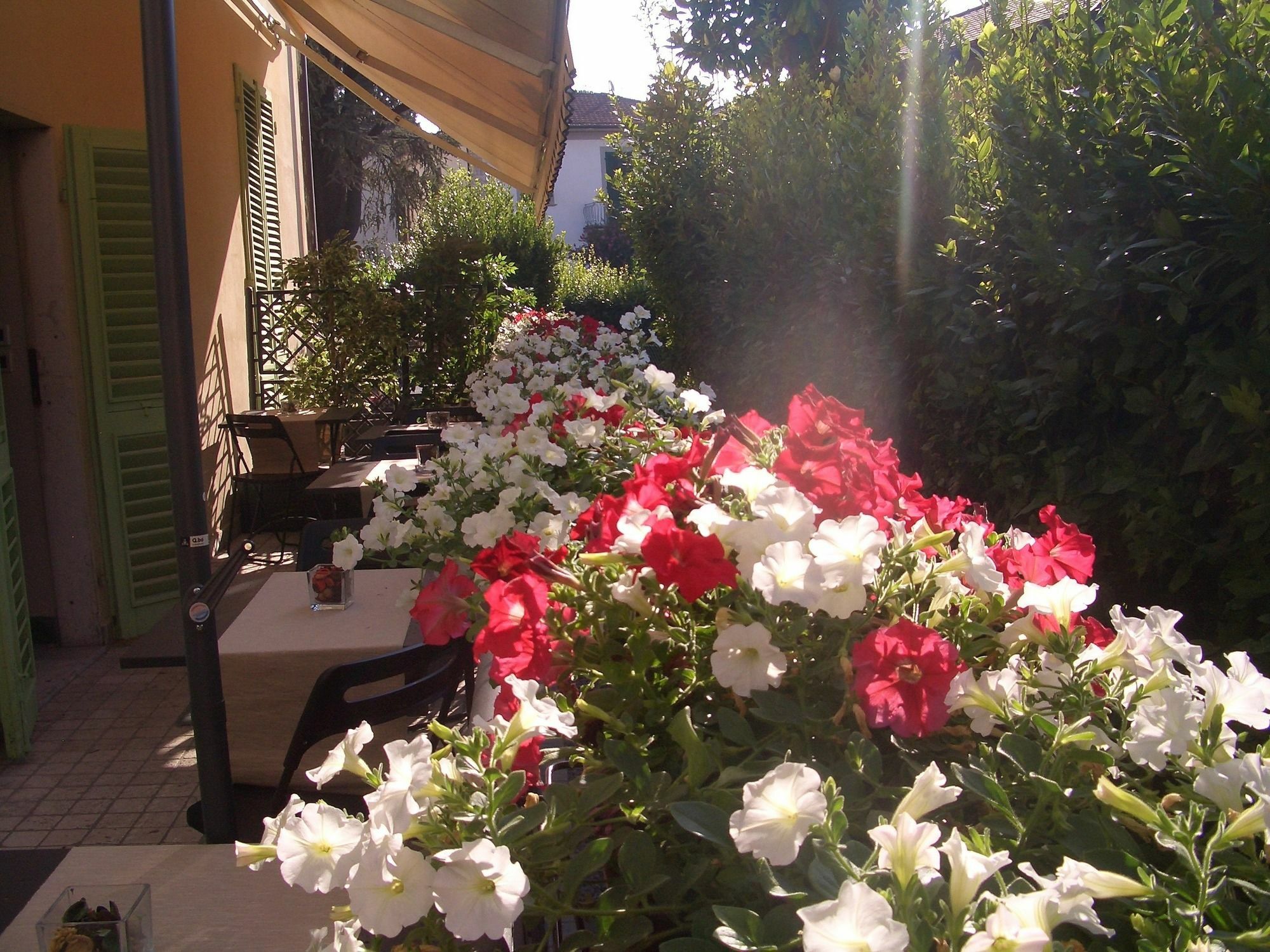 Lucca Relais Bed & Breakfast Luaran gambar